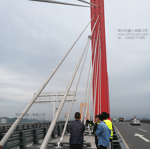 至喜长江大桥斜拉索检测现场
